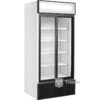 Wandkoeling Tefcold FSC891S - 0