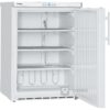 Onderbouw vrieskast Liebherr GGU 1400-21 - 0