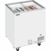 IJsconservator Tefcold IC201SC