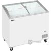IJsconservator Tefcold IC301SCEB