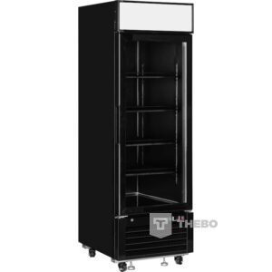 Wandkoeling Tefcold LGC2500B
