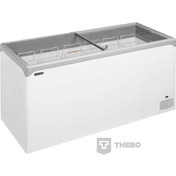 IJsconservator Tefcold NIC501SC